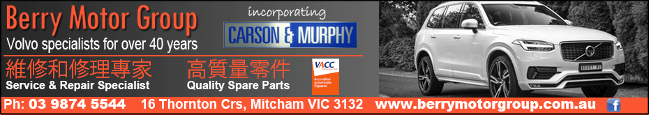 berryMotorGroup