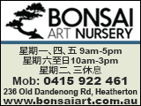 bonsaiart