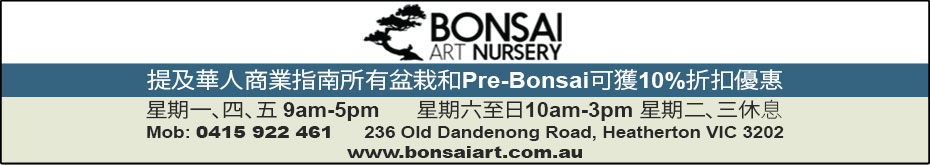 bonsaiArtNursery
