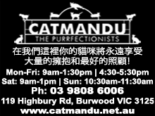 catmanduMotel