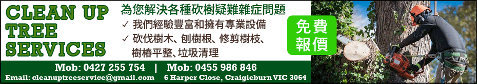 cleanUpTreeServices