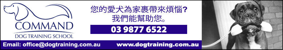commandDogTraining