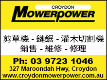 croydonMowerpower